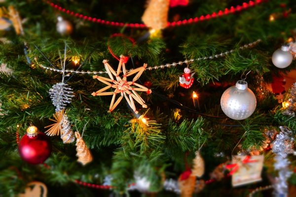 Winter newsletter